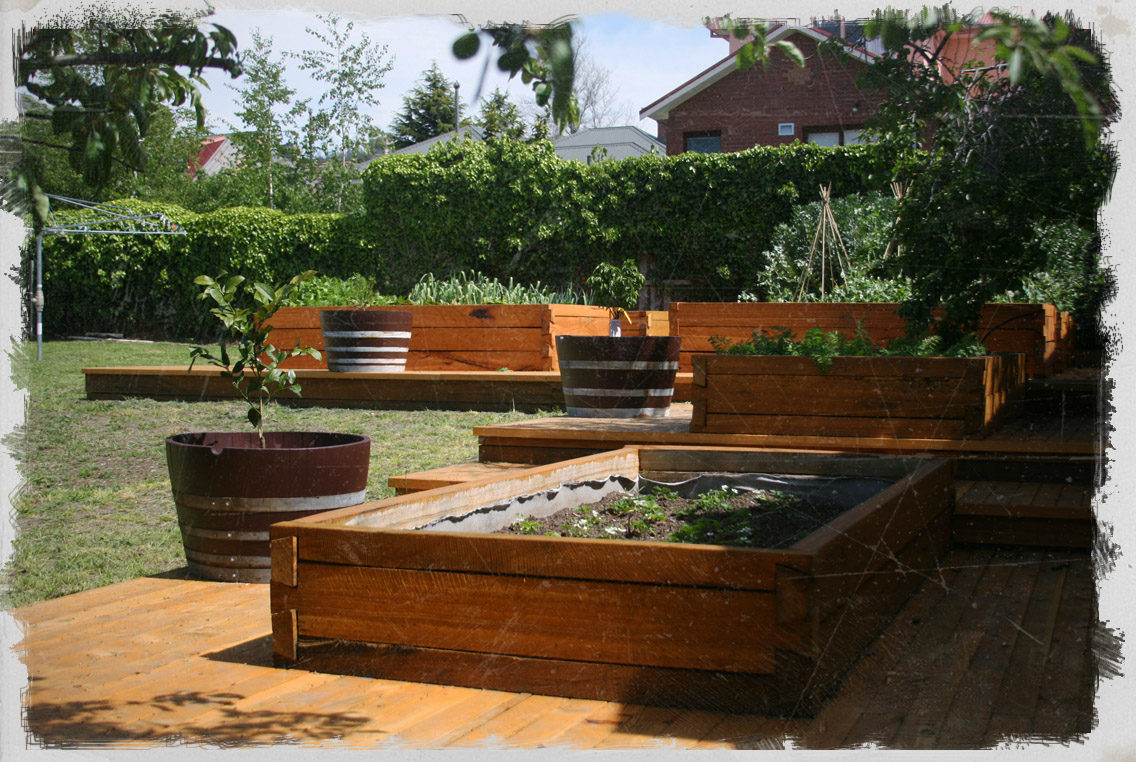 Dovetail Timbers Raised Timber Garden, Raised Vegetable Garden Kits Australia